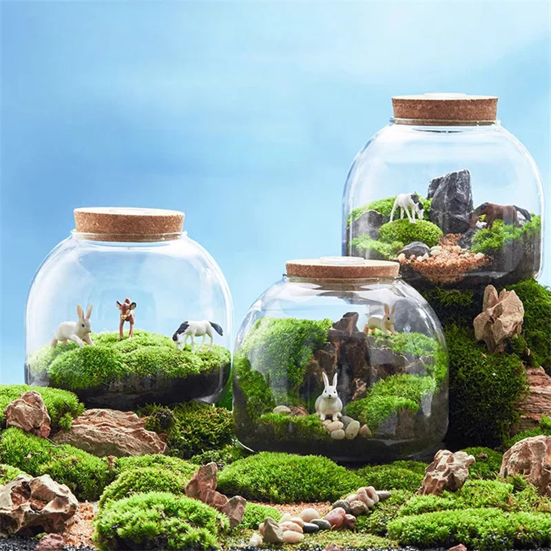 DecorBites™ Green Moss Glass Vase Terrarium Container