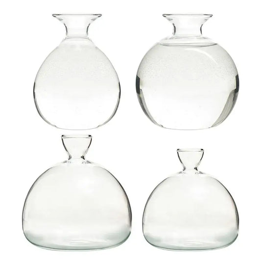 DecorBites™ "Hydroponic Avocado Seed Cultivation Vase"