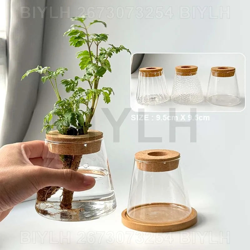 DecorBites™ Hydroponic Glass Flower Pots - Set of 2