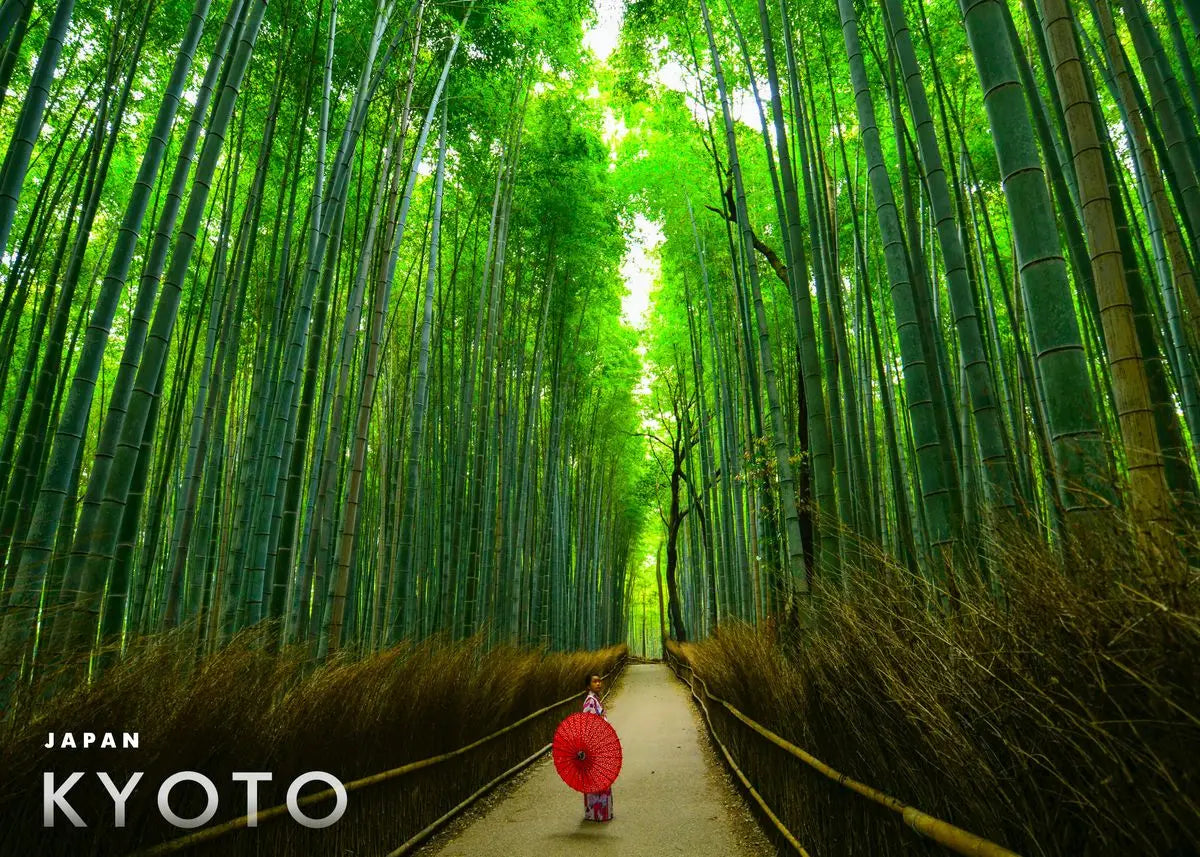 DecorBites™ Japanese City Landscape Canvas Wall Art