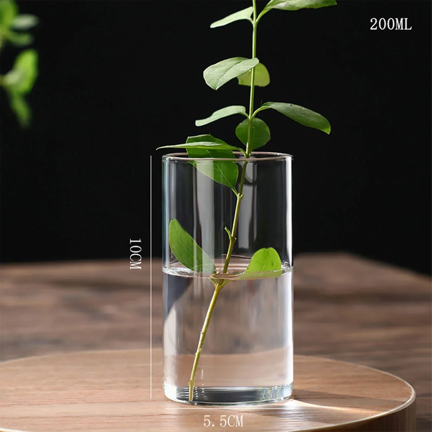 DecorBites™ Modern Glass Hydroponic Vase for Wedding Decor
