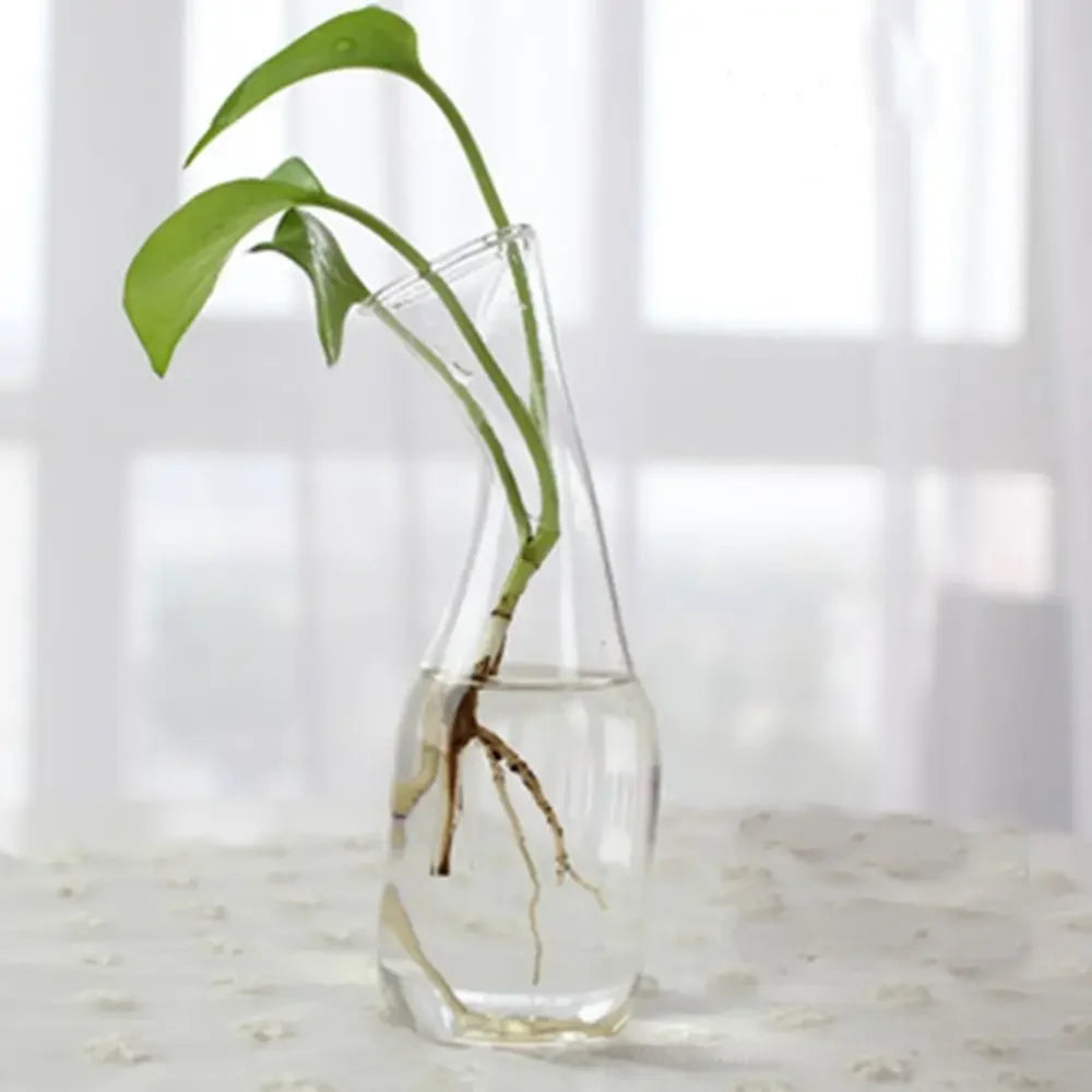 DecorBites™ Modern Glass Vase Terrarium Aquarium Decoration