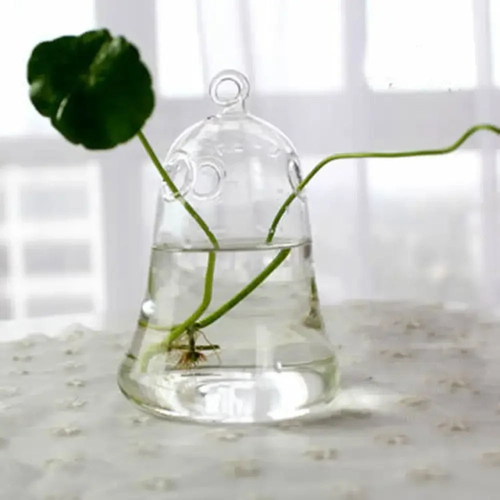 DecorBites™ Modern Glass Vase Terrarium Aquarium Decoration