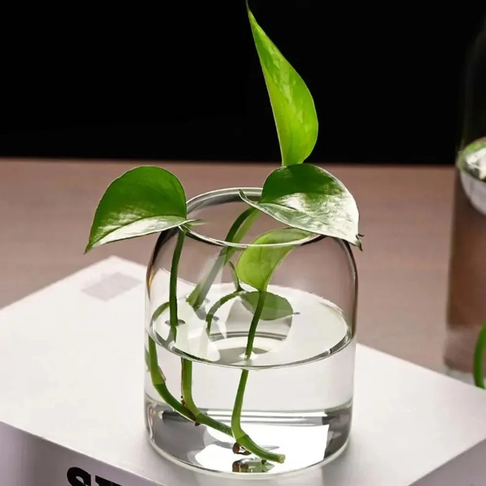 DecorBites™ Modern Hydroponic Glass Flower Vase for Home & Wedding