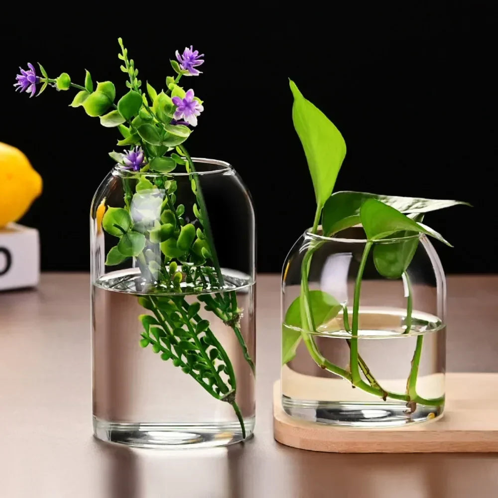 DecorBites™ Modern Hydroponic Glass Flower Vase for Home & Wedding