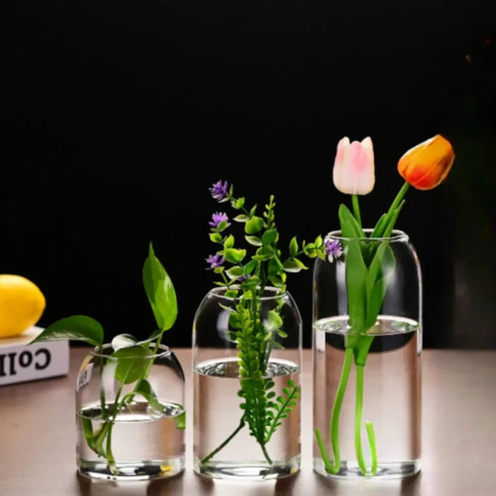DecorBites™ Modern Hydroponic Glass Flower Vase for Home & Wedding