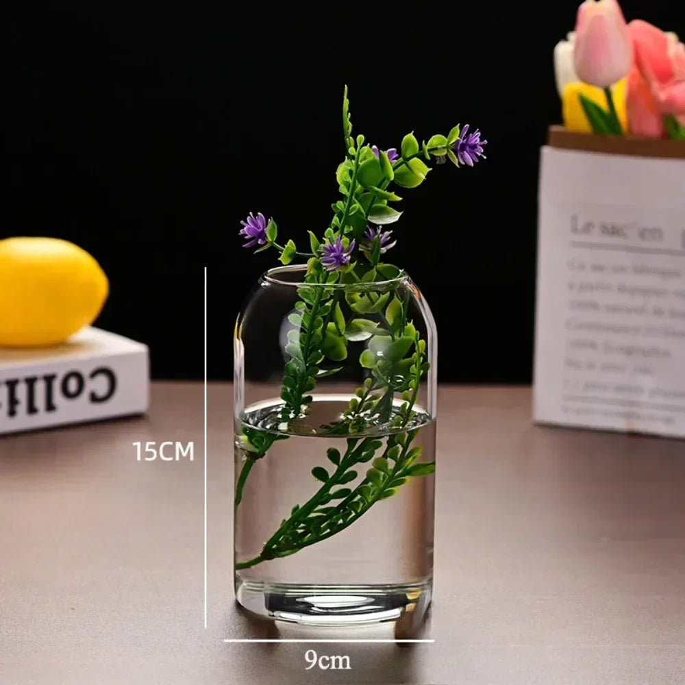 DecorBites™ Modern Hydroponic Glass Flower Vase for Home & Wedding