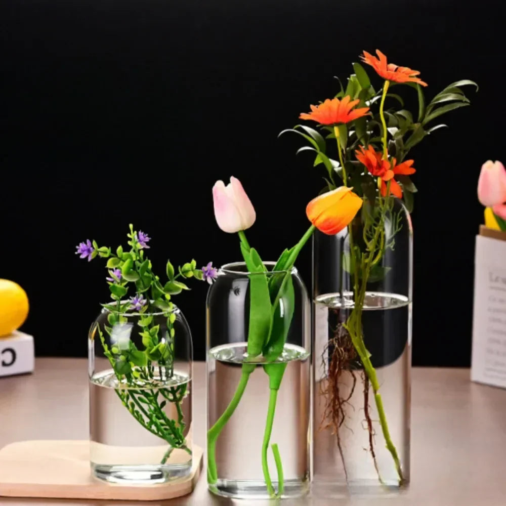 DecorBites™ Modern Hydroponic Glass Flower Vase for Home & Wedding