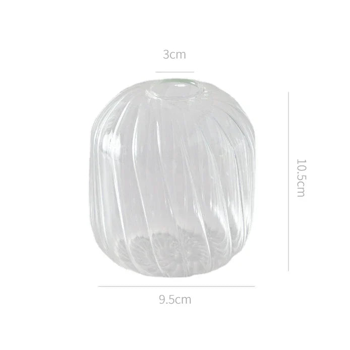 DecorBites™ Modern Transparent Glass Vases Set for Home