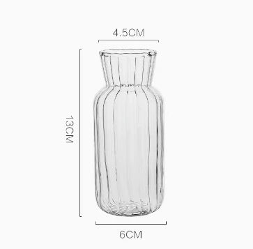 DecorBites™ Modern Transparent Glass Vases Set for Home