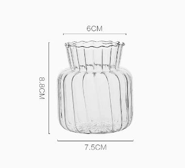 DecorBites™ Modern Transparent Glass Vases Set for Home