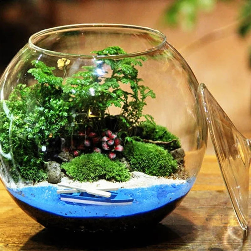 DecorBites™ Moss Ball Glass Vase for Desktop Decor