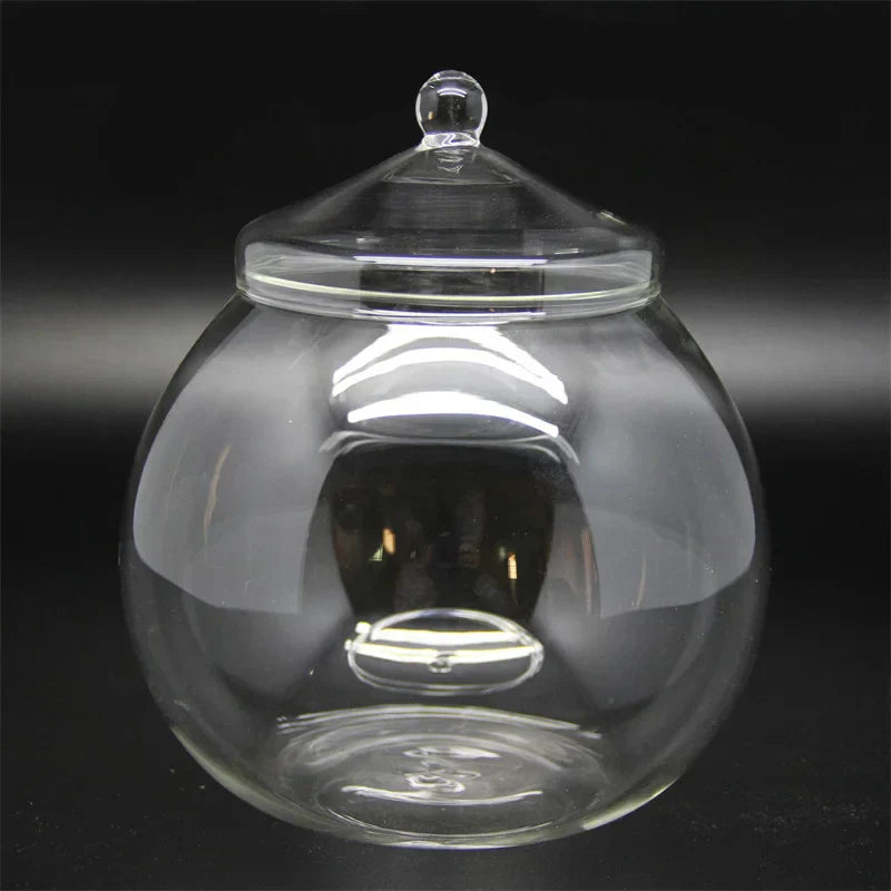 DecorBites™ Moss Ball Glass Vase for Desktop Decor