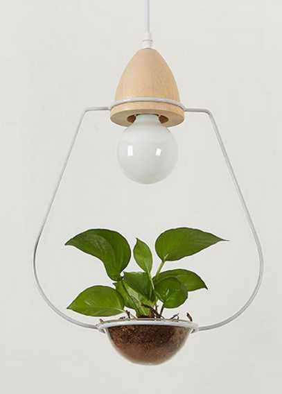 DecorBites™ Pot Pendant Planter Light