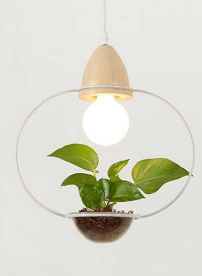 DecorBites™ Pot Pendant Planter Light