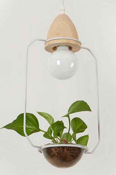 DecorBites™ Pot Pendant Planter Light
