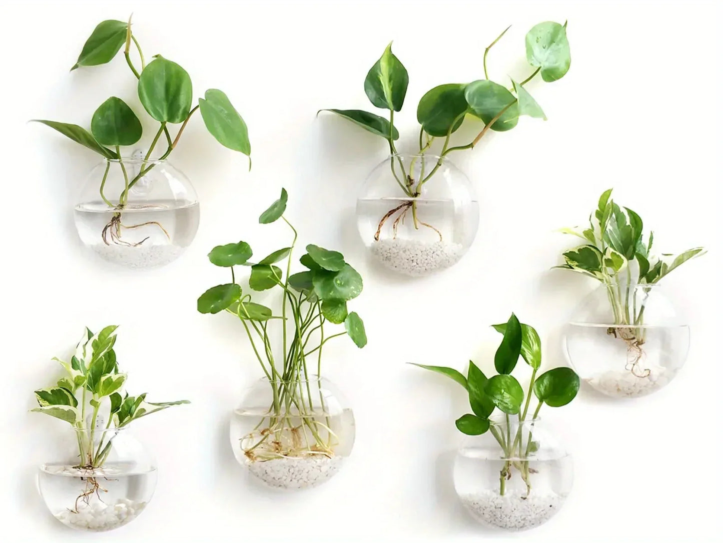 DecorBites™ Self-Watering Glass Terrarium Set for Home Décor