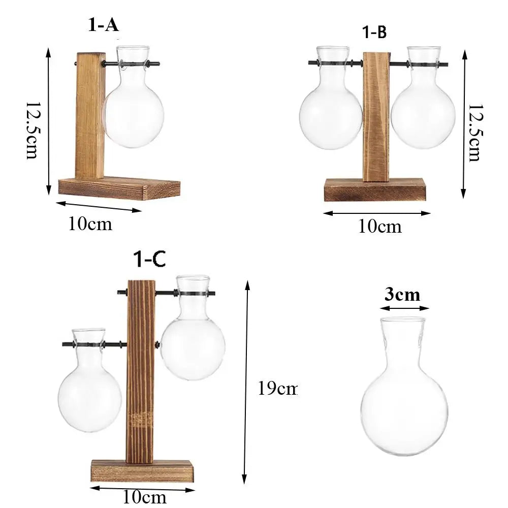 DecorBites™ Transparent Avocado Seed Starter Vase