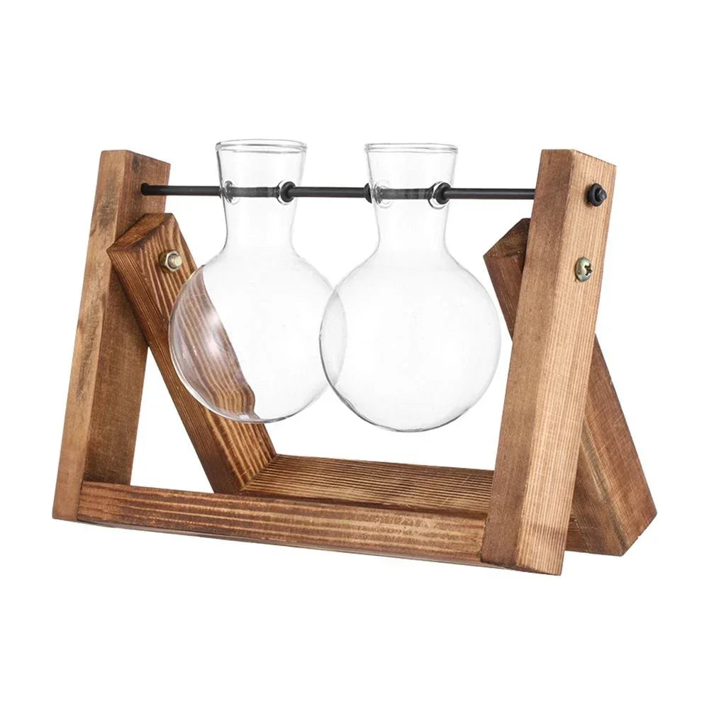 DecorBites™ Transparent Avocado Seed Starter Vase