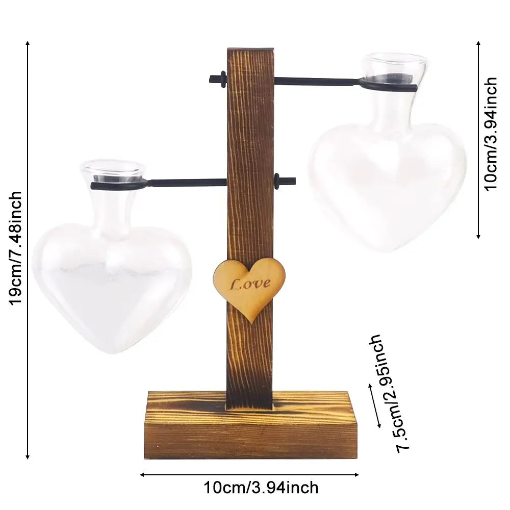 DecorBites™ Transparent Avocado Seed Starter Vase