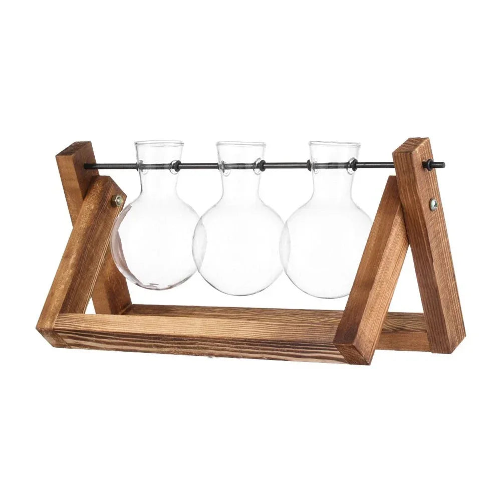 DecorBites™ Transparent Avocado Seed Starter Vase