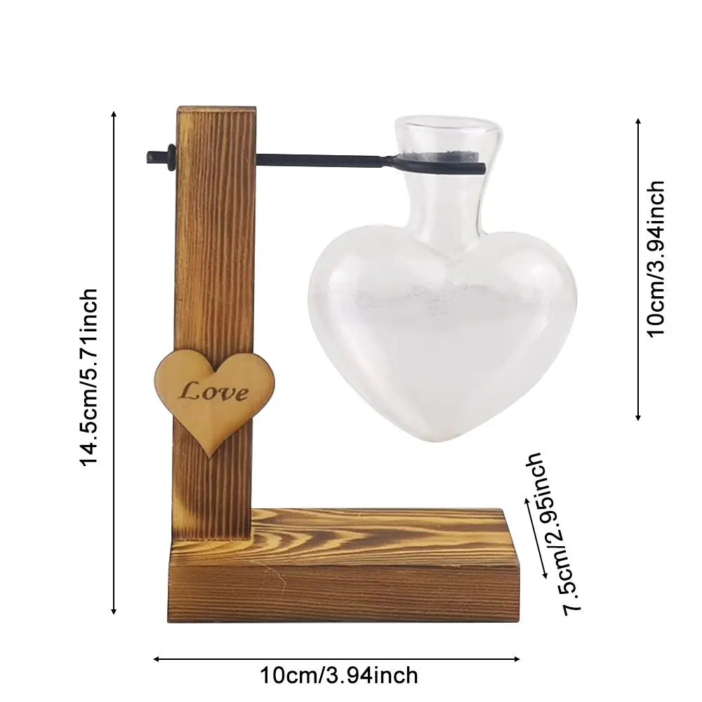 DecorBites™ Transparent Avocado Seed Starter Vase