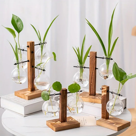 DecorBites™ Vintage hydroponic glass vase for desktop plant propagation
