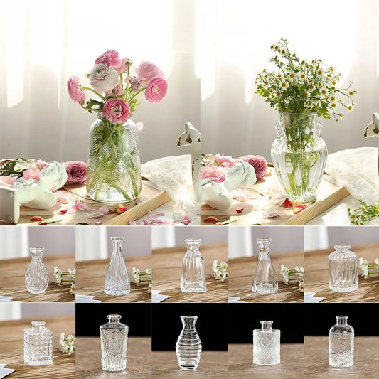 DecorBites™ Vintage Relief Glass Vase for Hydroponic Plants