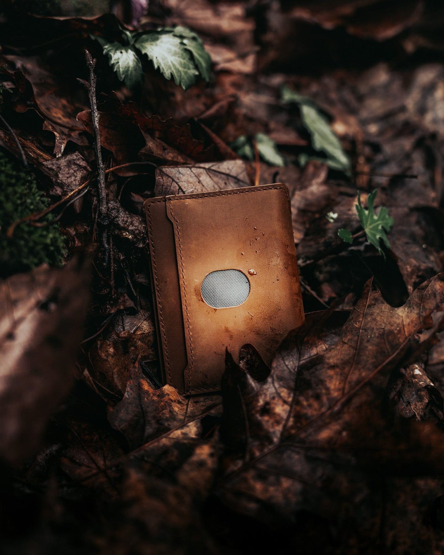 Cloud Wallet