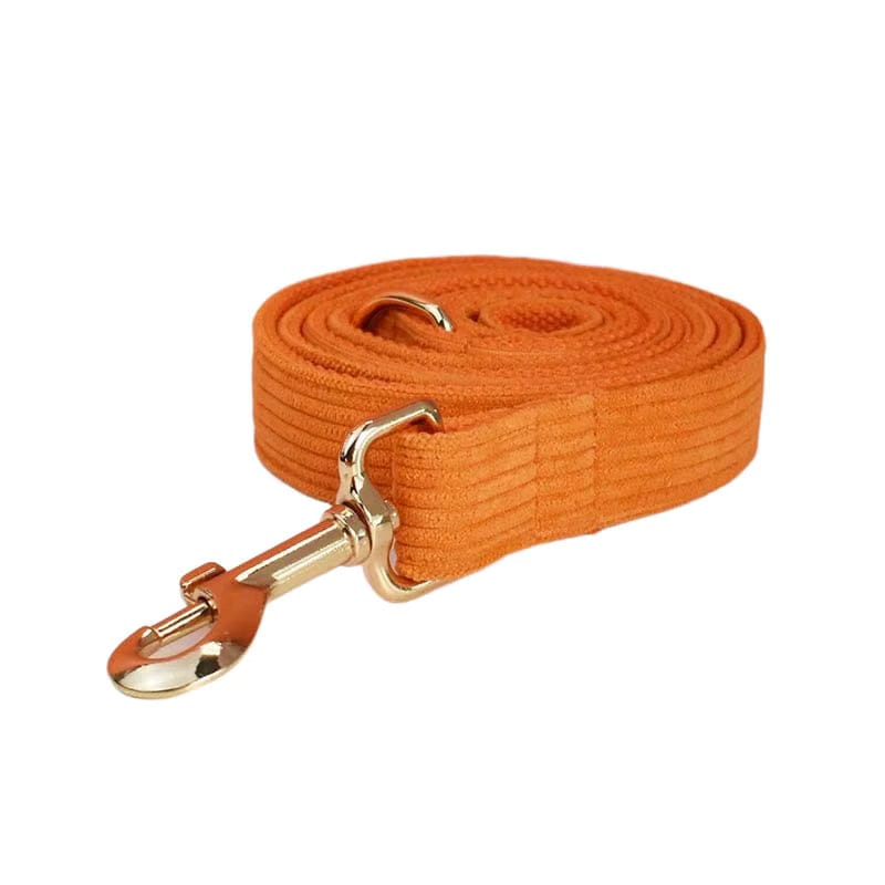 Orange Corduroy Set