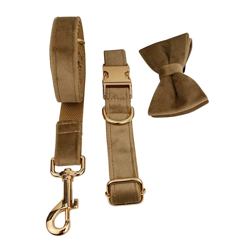 Shallow Khaki Velvet Set
