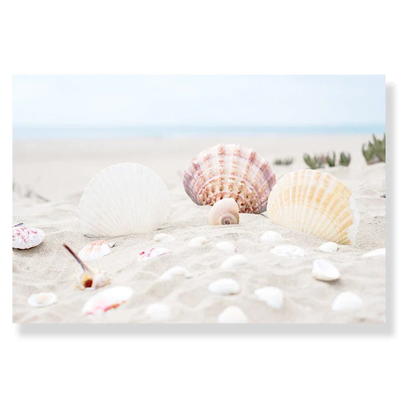 DecorBites™ Summer Beach Seashell Canvas Wall Art