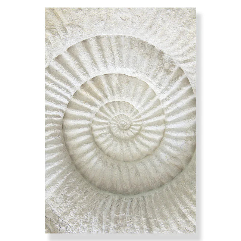 DecorBites™ Summer Beach Seashell Canvas Wall Art